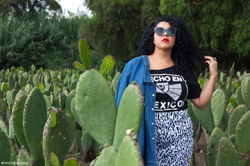 Orgullosamente curvy blogger mexicana: 4º aniversario